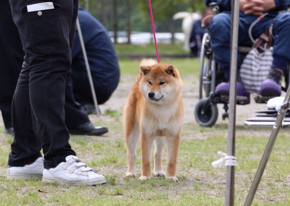 f87e027d2121a9b529160649859bbd8d