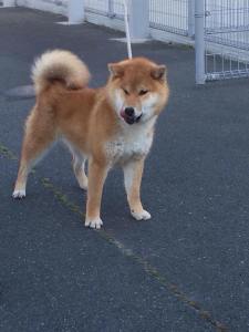 11082757_655012011297563_1712571116_n