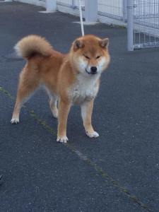 11088253_655011991297565_125217391_n