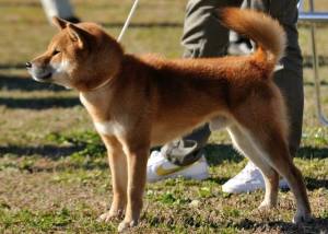 11828621_892972770757770_7283522351764239046_n