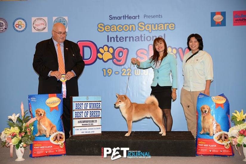 12232879_1654877661456951_4364215794785715489_o