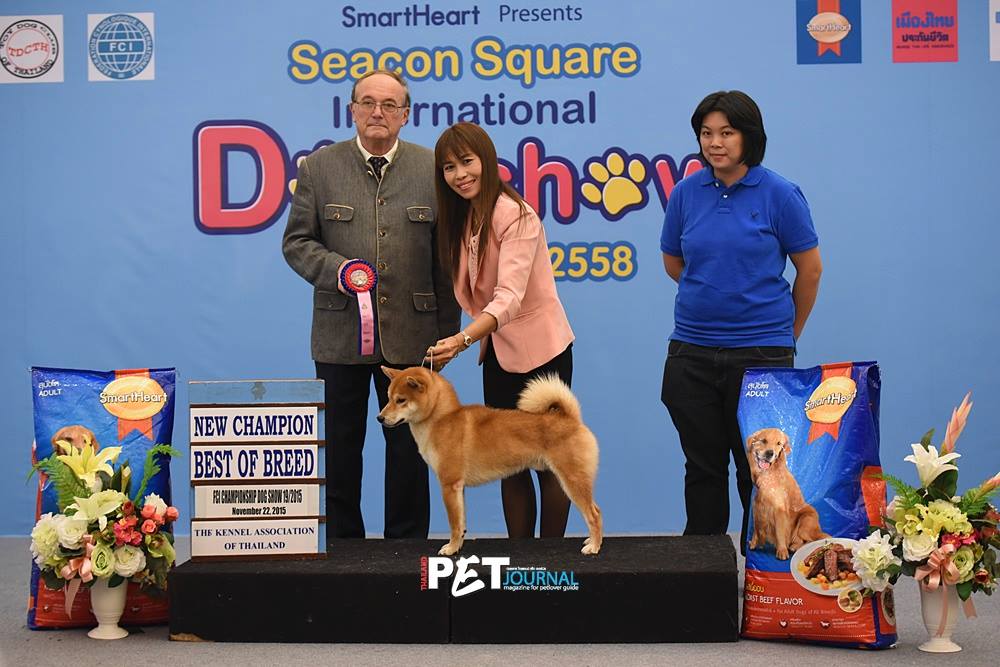 12244326_1655422304735820_2798647094157084034_o