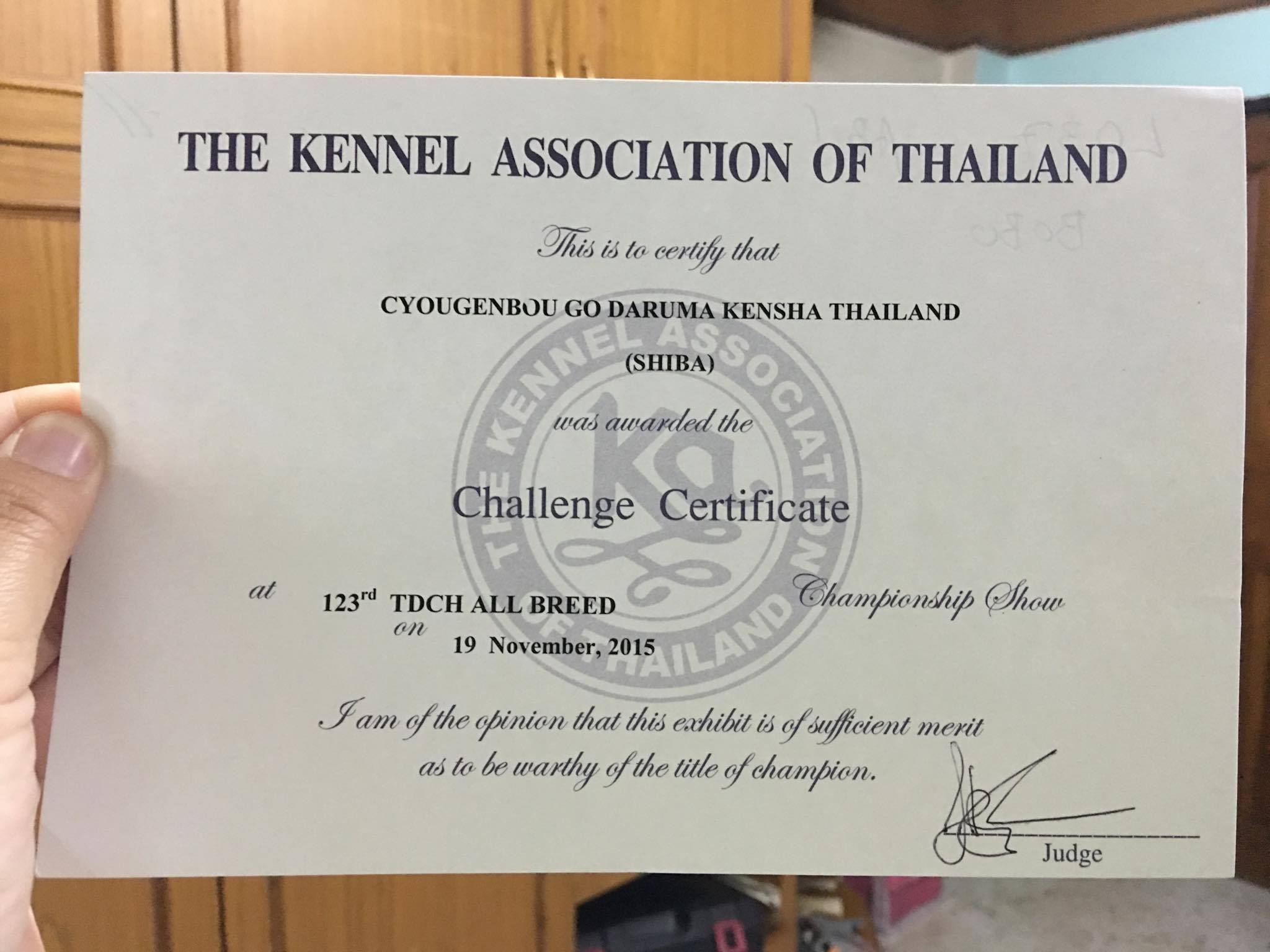 12334212_10153297648226586_671821981_o