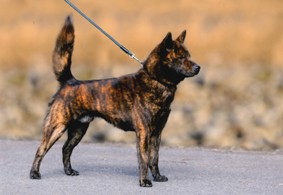 bff2fb9b319c9f53cffd6b7ed7dc1eac