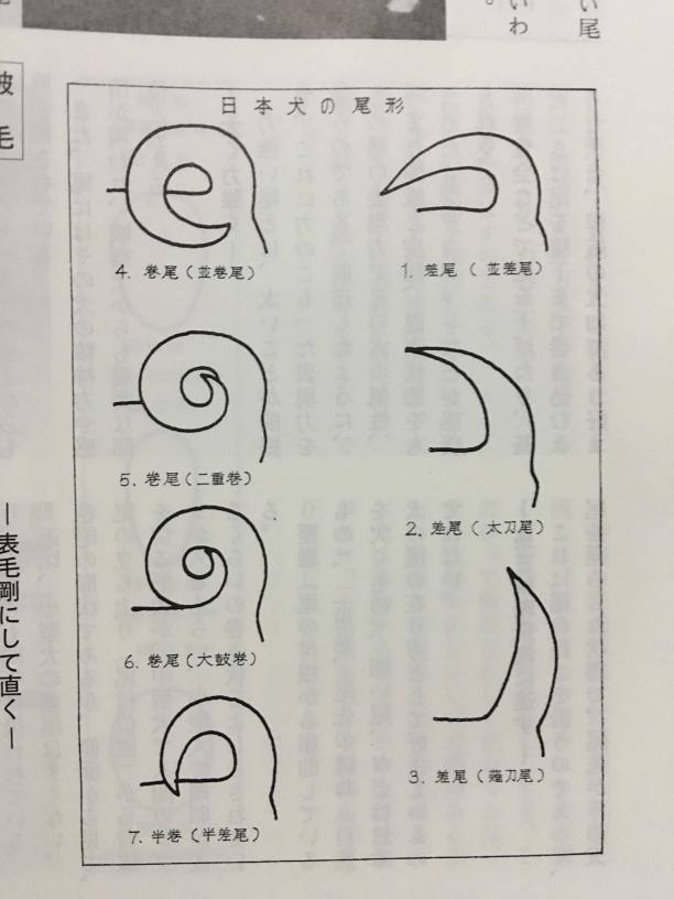 11416513_10153426144071586_792168963_o