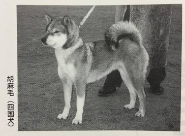 12656470_10153426180756586_171809106_o