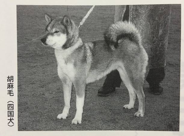 12656470_10153426180756586_171809106_o