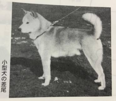 12699162_10153426180401586_1271358633_o