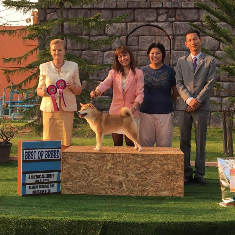 12669677_526794154167984_4143385788220852925_n