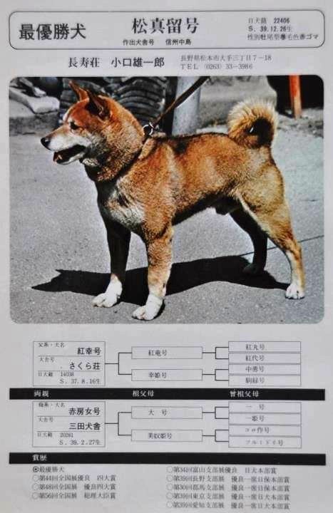 12596012_1011137588962989_175174022_n