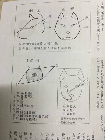 12921844_10153559390121586_659364691_o