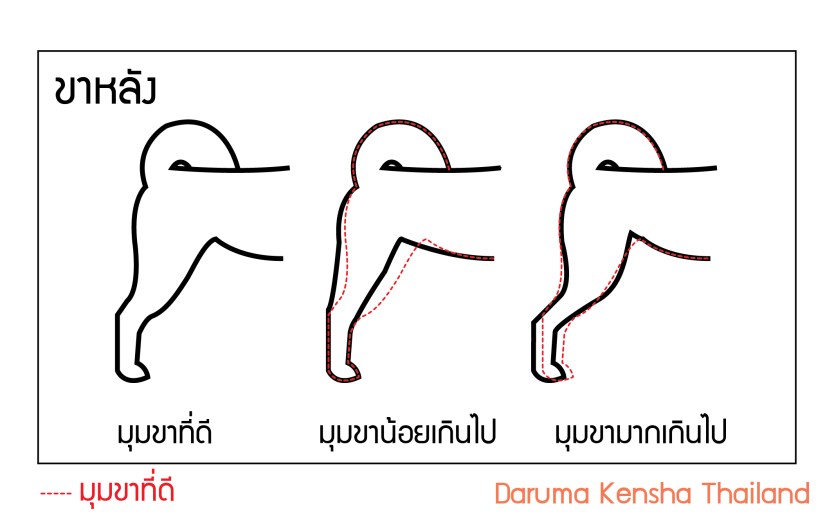 โครงสร้าง-03-04-07
