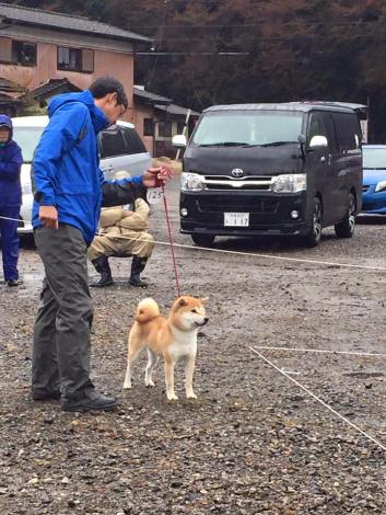 12208870_758092807656149_6951782445117577452_n