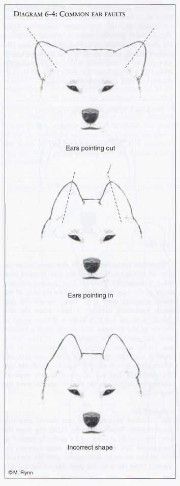 %e0%b8%ab%e0%b8%b9-02