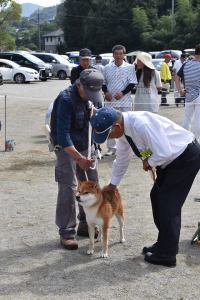 42457851_1885433984844972_6012911200302530560_n