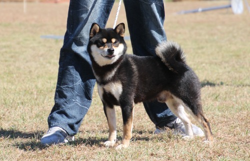 天王丸号【春夏荘】　優良２席