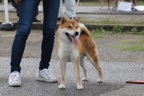 海　童号【尾張弘美荘】　優良２席
