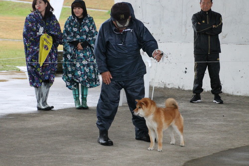 宮王丸号【豊後オオタニ荘】優良１席 (2).jpg
