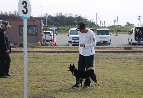 創華の誉号【信州創華荘】-B