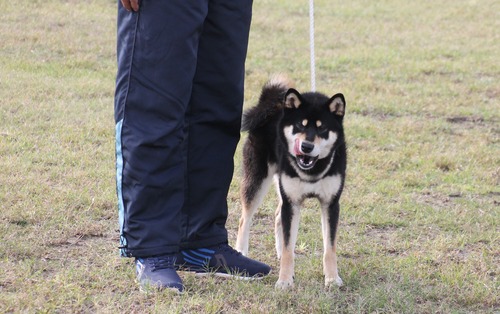 創華の誉号【信州創華荘】
