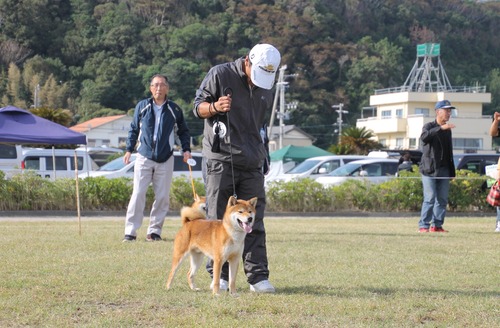 奈月の誉号【讃岐水本荘】 優良3席-C
