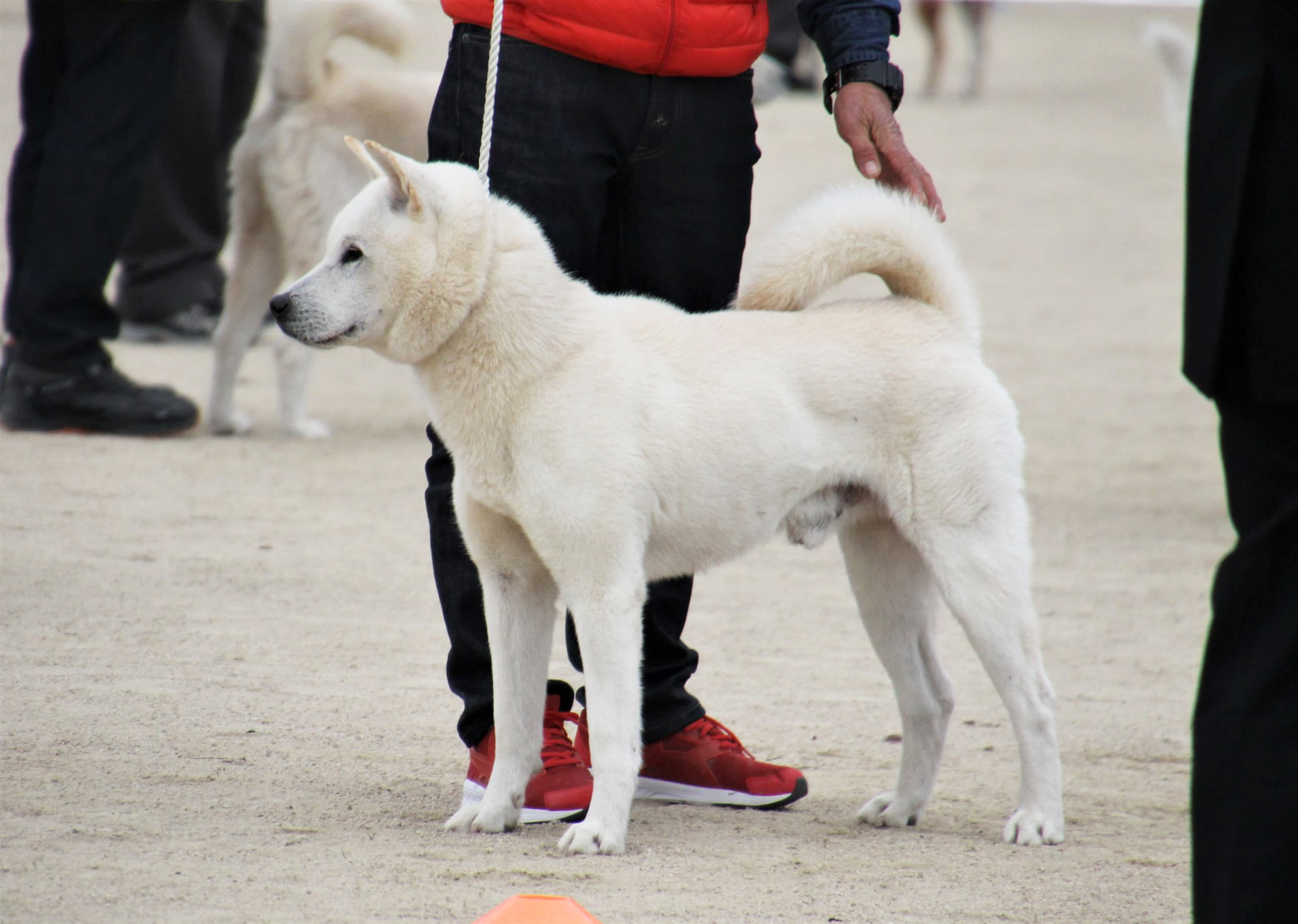 75513619_2535997543152144_1175681416776646656_o