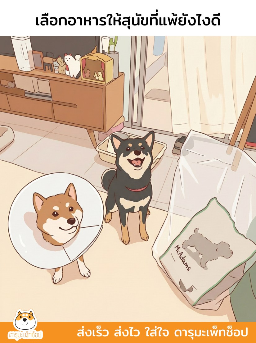 การเลือกอาหารสำหรับสุนัขแพ้ง่าย